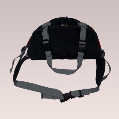Riñonera Lumbar 10L - Imagen 6